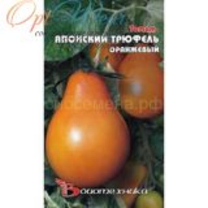 Трюфель густо малиновый. Томат японский трюфель оранжевый. Томат трюфель желтый Сибирский сад. Томат царь трюфель. Японский трюфель оранжевый.